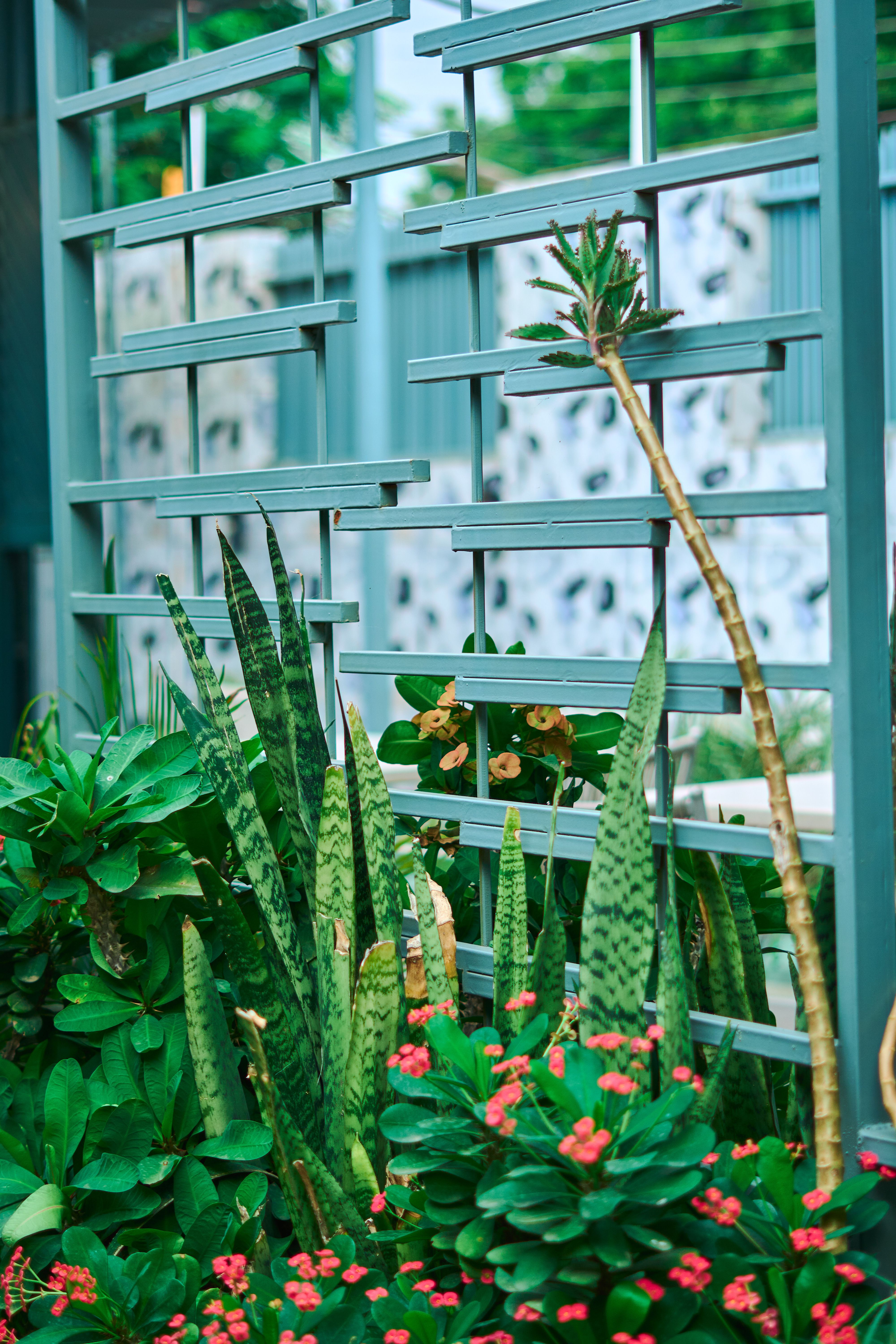 Karen Courtyard